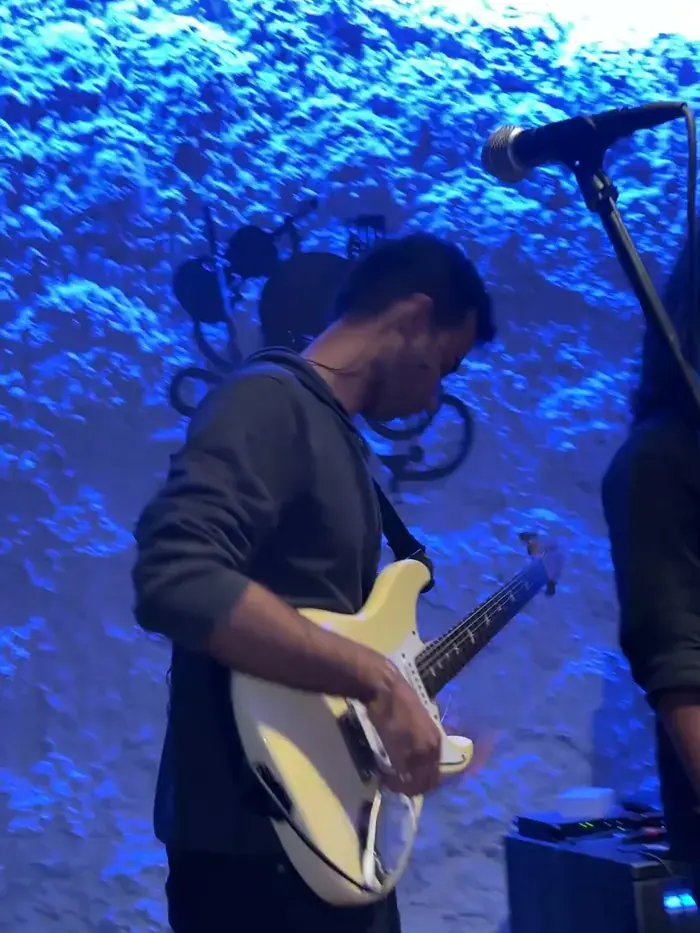 Guitar
